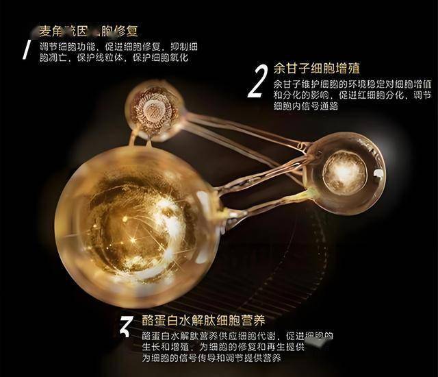 外汇平台icmarkets市八届人大六次会议举行第三次全体会议和主席团第四次会议